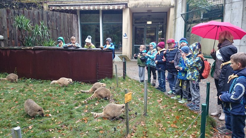 ZOO-Cottbus
