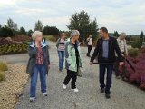 Nochten-Findlingspark-n-le.JPG