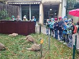 ZOO-Cottbus.JPG
